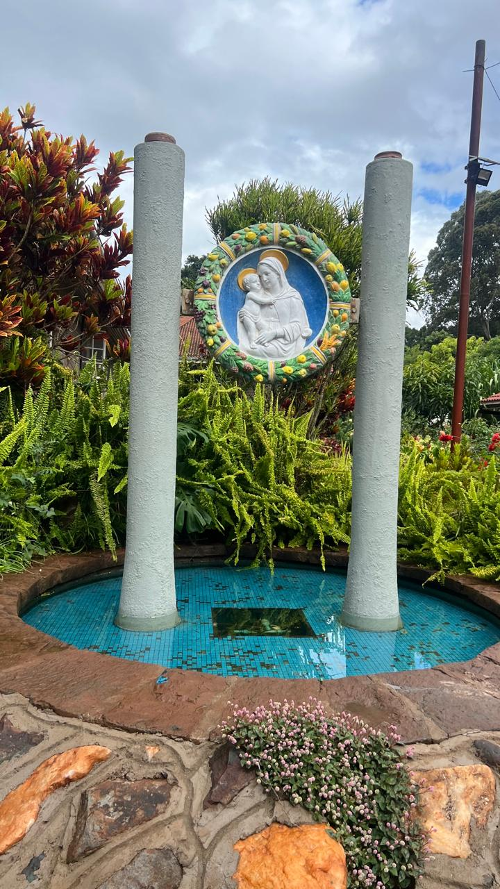 Children’s Home grounds photographed during the visit
